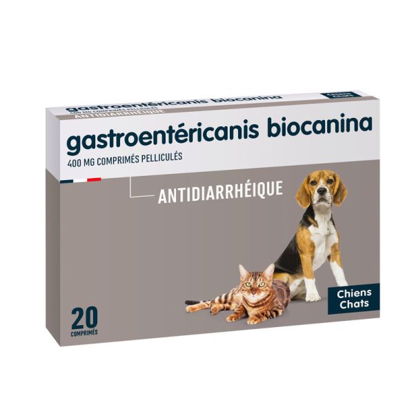 Gastroentericanis 20 Comprimes