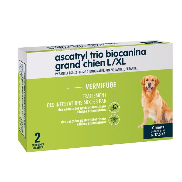 Ascatryl Trio Grand Chien L/Xl Cpr Secab Plaq Tfor 2