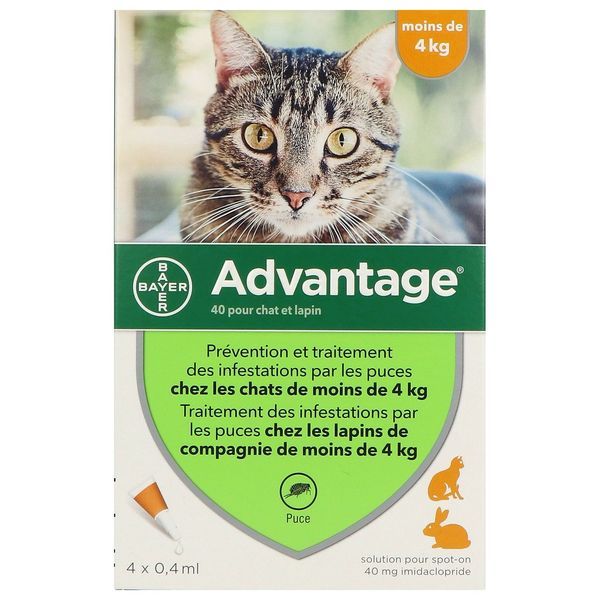 ADVANTAGE 40 CHAT ET LAPIN Spot on, solution cutanée antiparasitaire externe, pour chat et lapin, pipette 0,4 ml, bt 4