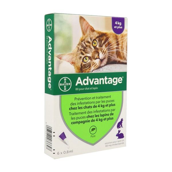 ADVANTAGE 80 CHAT ET LAPIN Spot on, solution cutanée antiparasitaire externe, pour chat et lapin, pipette 0,8 ml, bt 6