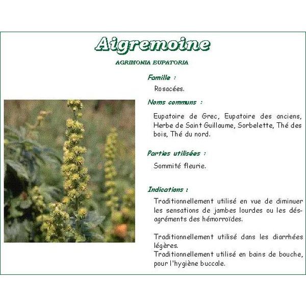 Iphym Aigremoine Plante Coupe 250 G