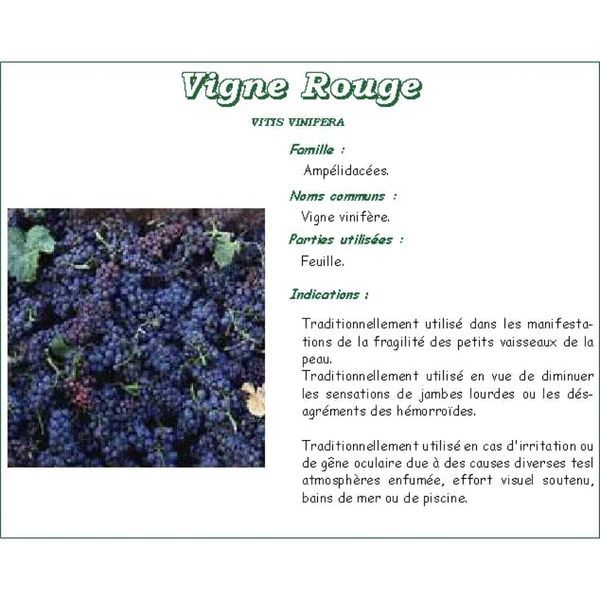 VIGNE ROUGE IPHYM Feuille de vigne rouge, vrac, sac 250 g