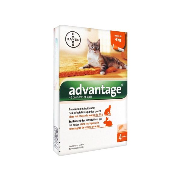 Advantage 40 Pour Chat Et Lapin (Solution Cutanee Pour Depot) Pipette 0,4 Ml 4