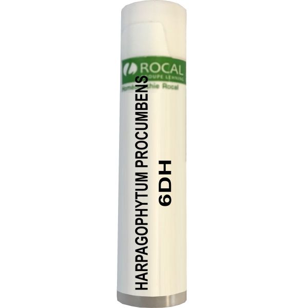 Harpagophytum procumbens 6dh dose 1g rocal