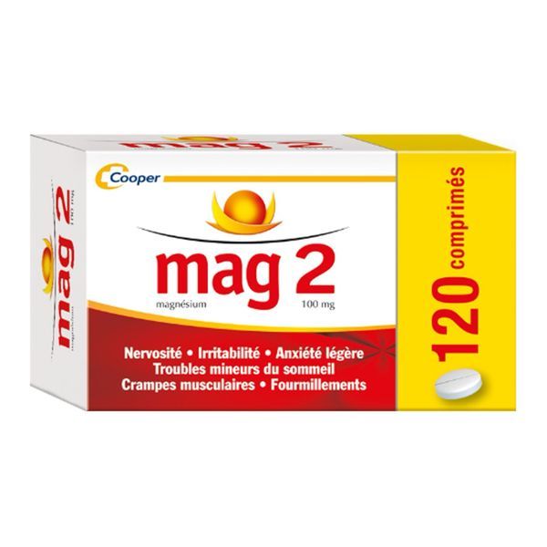 MAG 2 100 MG COMPRIME B/120