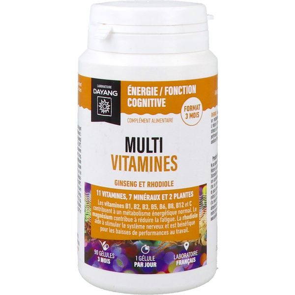 DAYANG MULTIVITAMINES GELULE FLACON 90