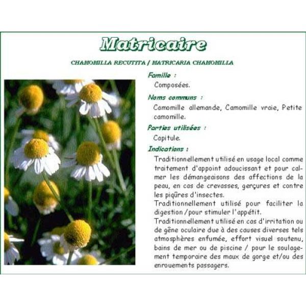 MATRICAIRE VITAFLOR Fleur de matricaire, vrac, bt 30 g