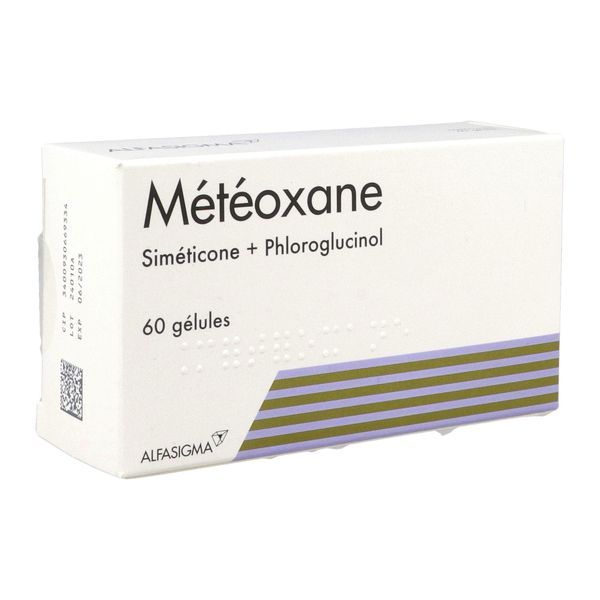 METEOXANE Gélule, boîte 60