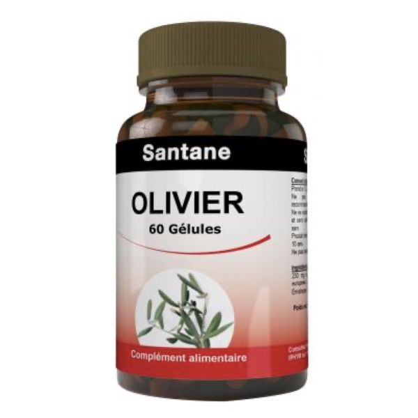 Santane Olivier Gelule Boite 230 Mg 60