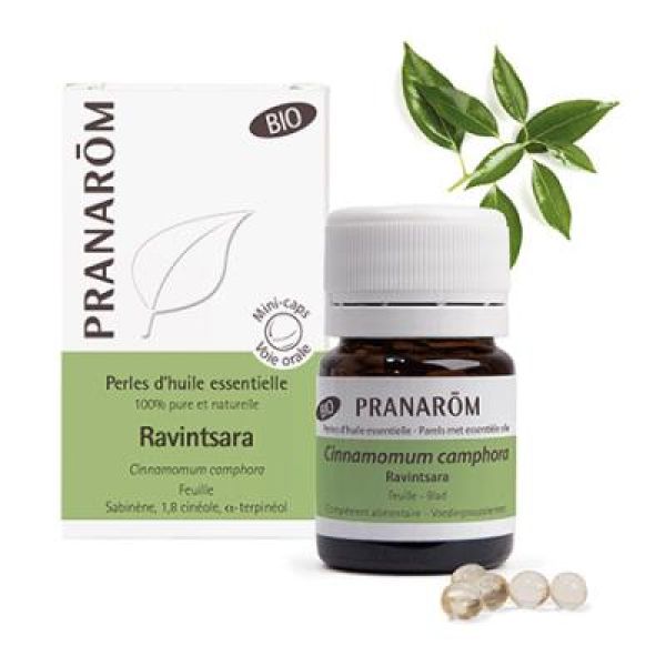 Pranarom Ravintsara feuille BIO - 60 perles