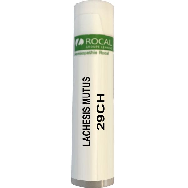 Lachesis mutus 29ch dose 1g rocal