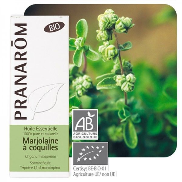 HE Marjolaine à coquille BIO (Origanum majorana) - 5 ml