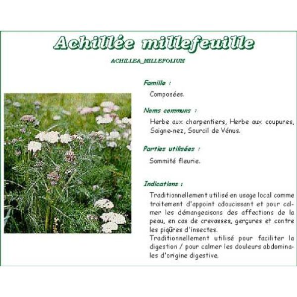 Vitaflor Millefeuille Sommites Fleuries Tis Bt 100 G 1