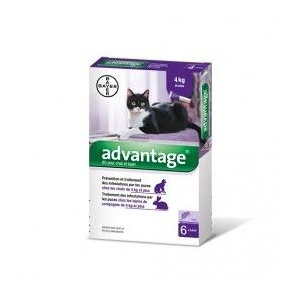 Advantage 80 Pour Chat Et Lapin (Solution Cutanee Pour Depot) Pipette 0,8 Ml 4