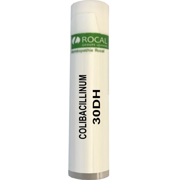 Colibacillinum 30dh dose 1g rocal