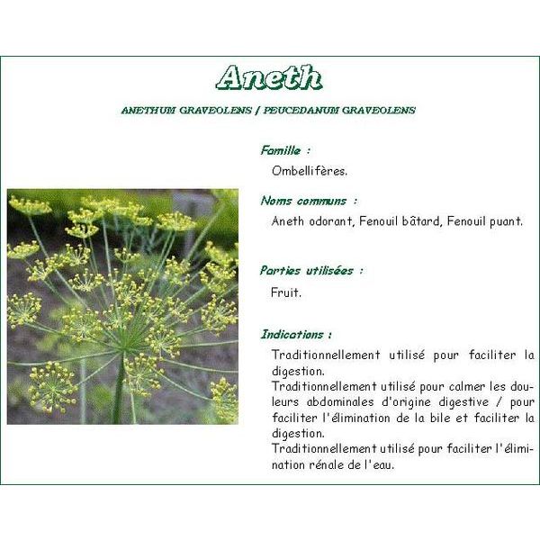 Iphym Aneth Semence Entier Plante 250 G 1