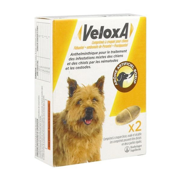 VELOXA CHIEN 2CP