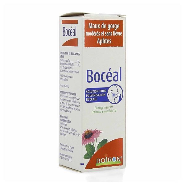 Boceal Solution Pour Pulverisation Buccale 1 Flacon Pulverisateur (Aluminium) De 20 Ml Muni D'Une Pompe (Pe) Et D'Un Embout Buccal (Pe/Pp)