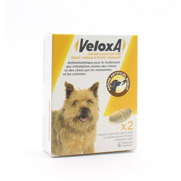 VELOXA CHIEN 2CP