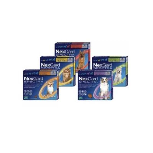 NEXGARD SPECTRA CHIEN > 15 KG - 30 KG Comprimé à croquer endectocide pour chien de 15 kg à 30 kg, bt 3