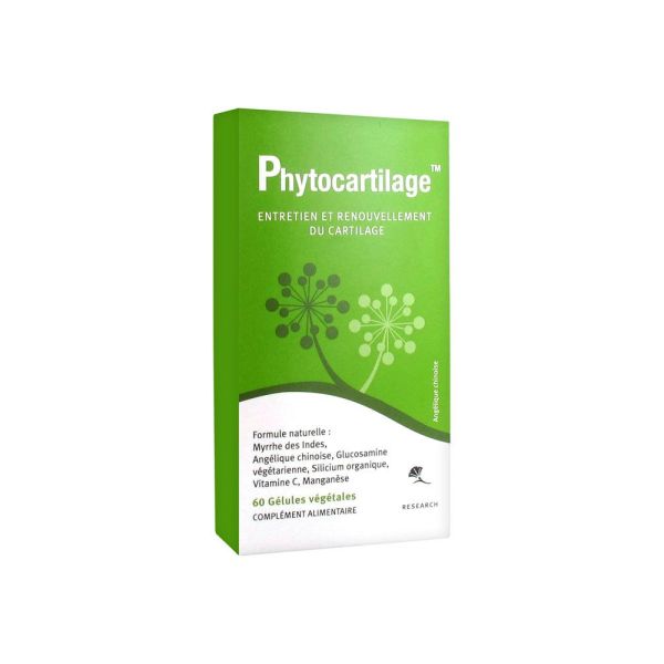 Phytocartilage (Entretien Et Renouvellement Du Cartilage) Gelule Boite 60