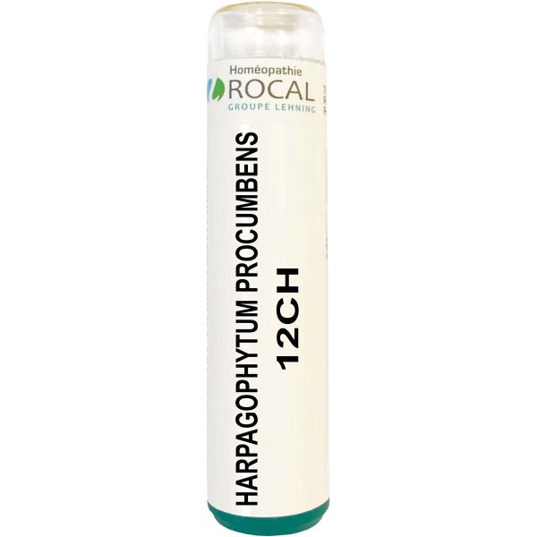 Harpagophytum procumbens 12ch tube granules 4g rocal