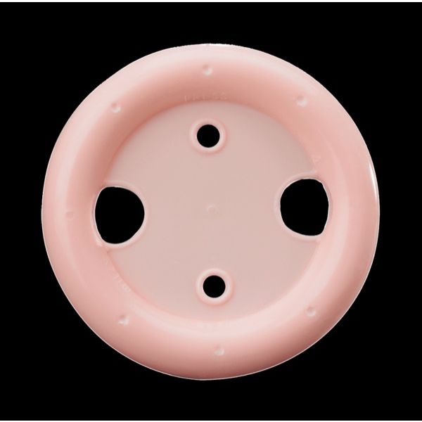 MILEX PESSAIRE ANNEAU AVEC SUPPORT 70 MM T4 1