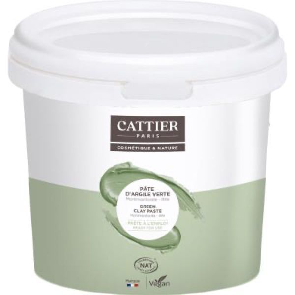 CATTIER ARGILE VERTE Pâte d'argile verte, prête à l'emploi, pot 1,35 kg