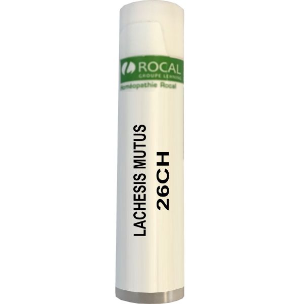 Lachesis mutus 26ch dose 1g rocal