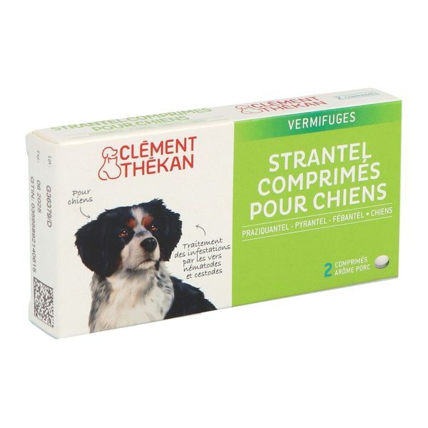 CLTK API STRANTEL CHIENS 2CP