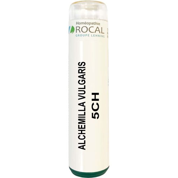 Alchemilla vulgaris 5ch tube granules 4g rocal