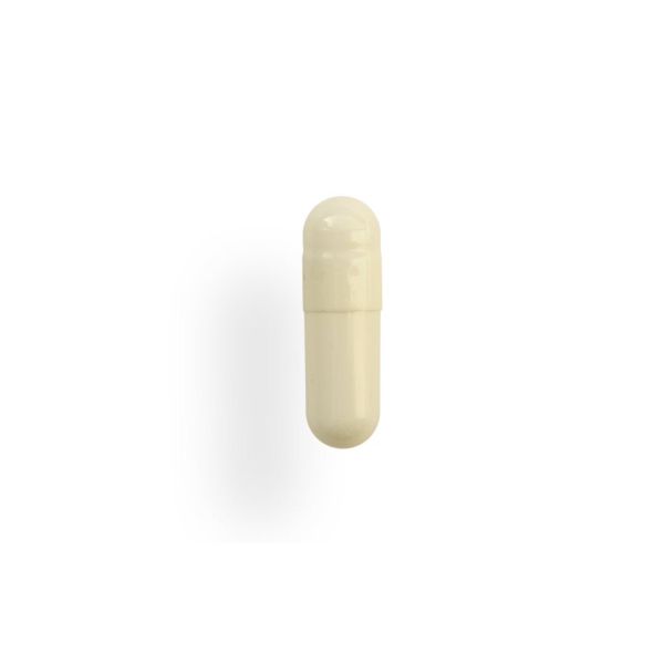 Gelules Ivoire N0 Bte 1000