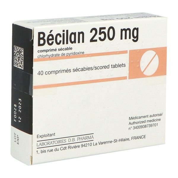 BECILAN Comprimé sécable 250 mg, boîte 40