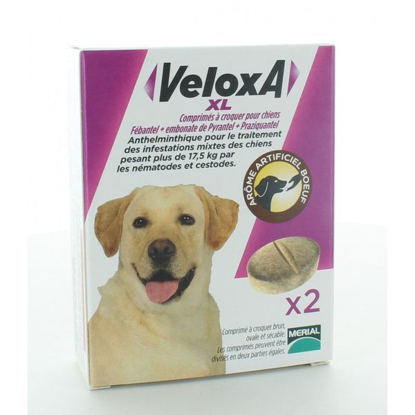 VELOXA XL CHIEN 2CP