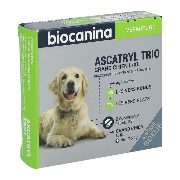 Ascatryl Trio Grand Chien L/Xl Cpr Secab Plaq Tfor 2