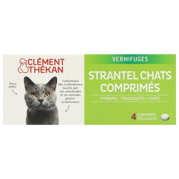 CLTK STRANTEL CHAT *4 CP